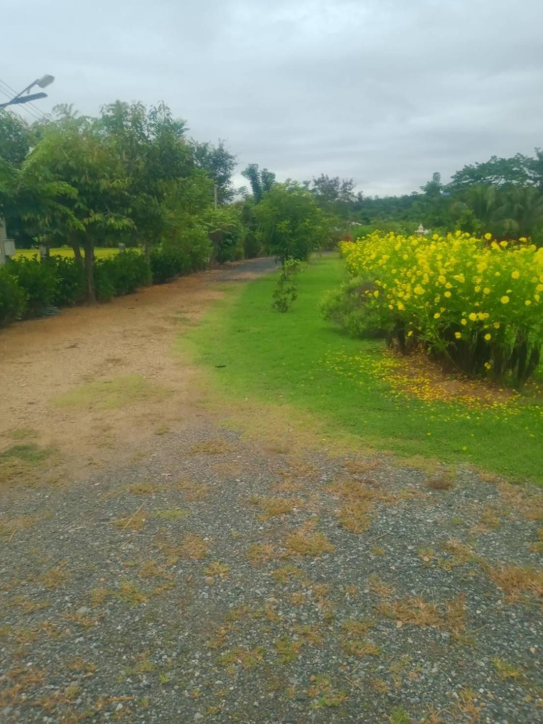 Ban Chang Klang Na Nong ap Chang Bagian luar foto