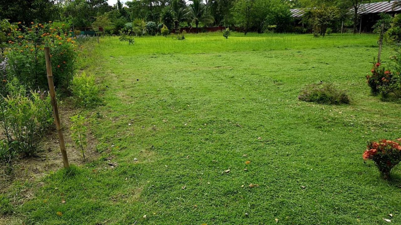 Ban Chang Klang Na Nong ap Chang Bagian luar foto