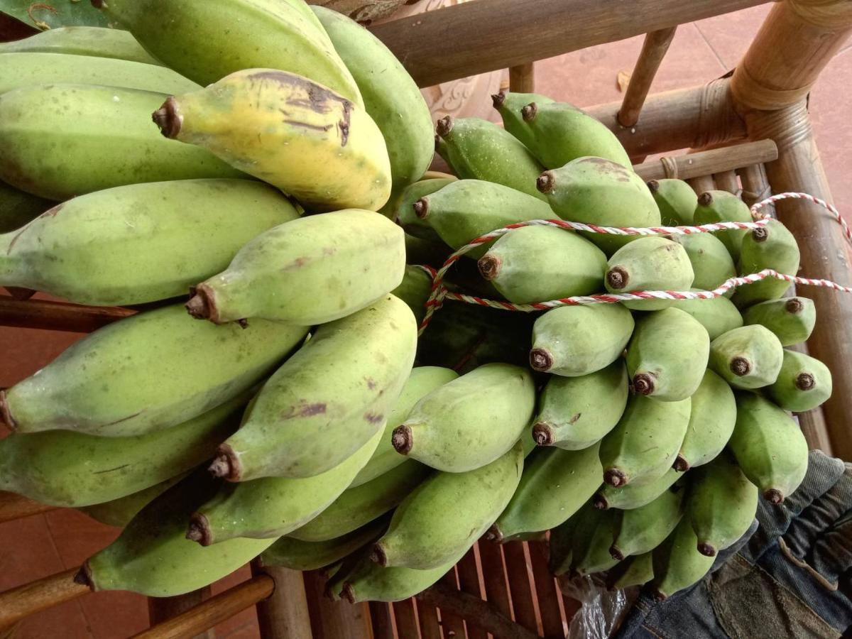 Ban Chang Klang Na Nong ap Chang Bagian luar foto