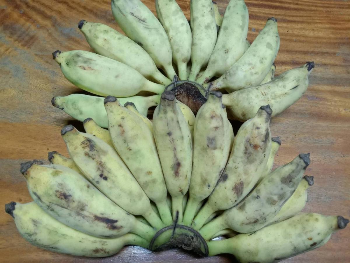 Ban Chang Klang Na Nong ap Chang Bagian luar foto