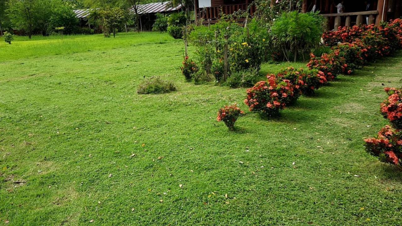 Ban Chang Klang Na Nong ap Chang Bagian luar foto