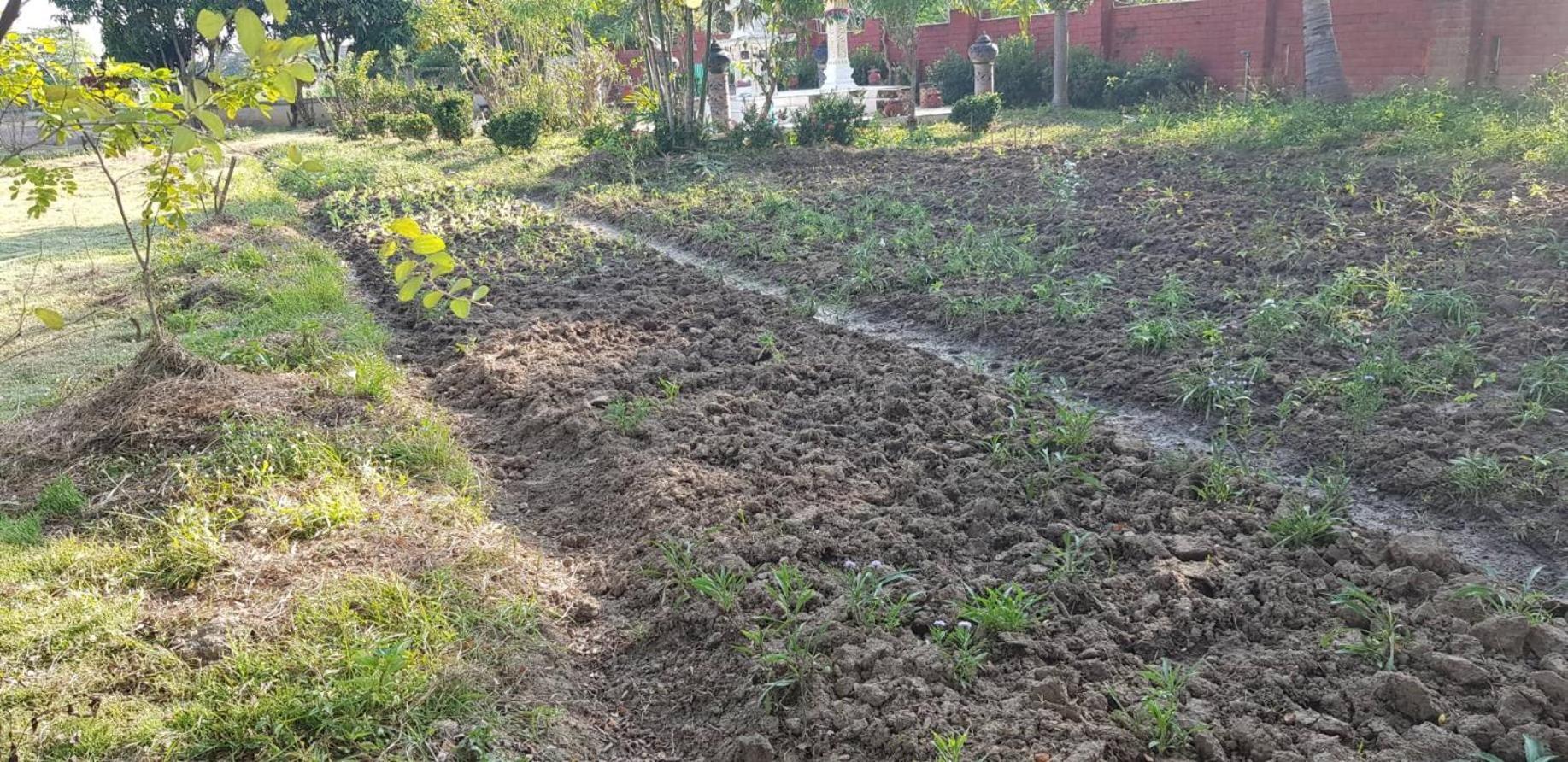 Ban Chang Klang Na Nong ap Chang Bagian luar foto