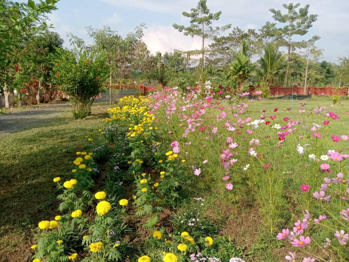 Ban Chang Klang Na Nong ap Chang Bagian luar foto