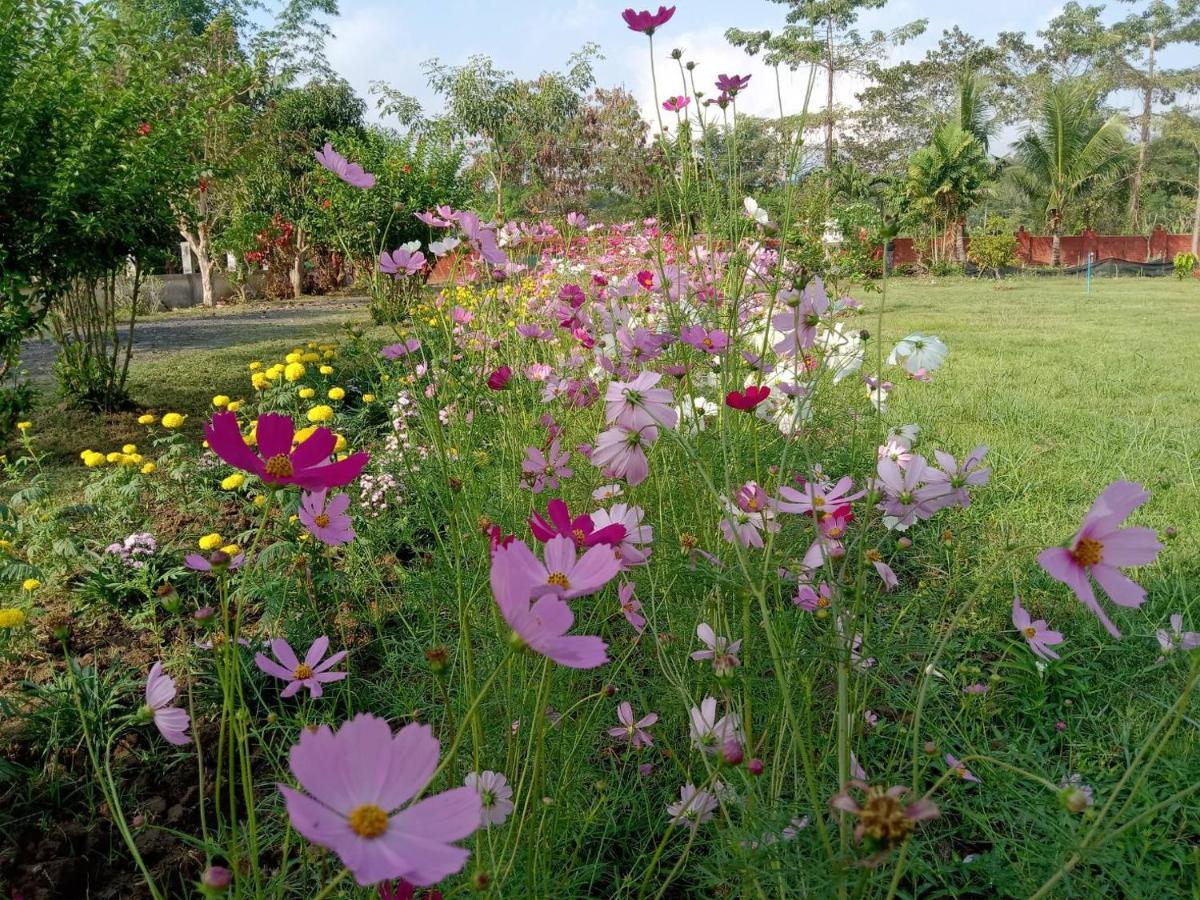 Ban Chang Klang Na Nong ap Chang Bagian luar foto
